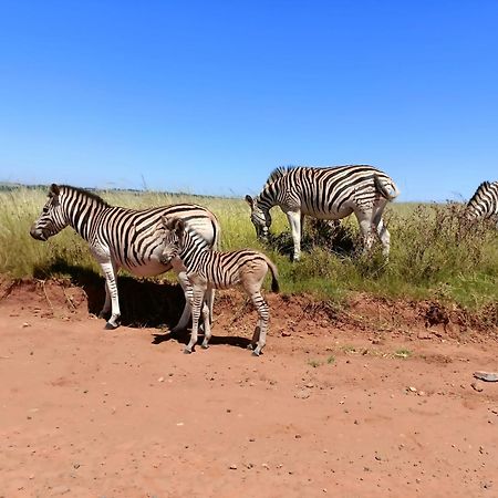Sedgefield Lodge Witbank Zewnętrze zdjęcie