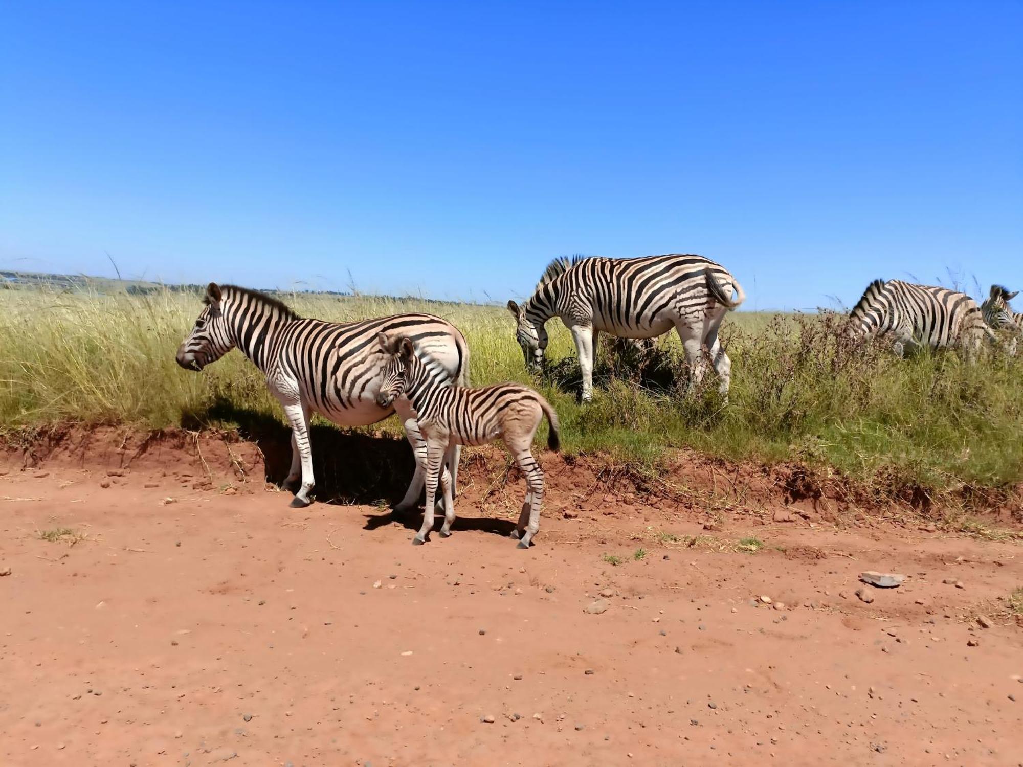 Sedgefield Lodge Witbank Zewnętrze zdjęcie